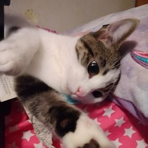 Meet your Posher, Kathern